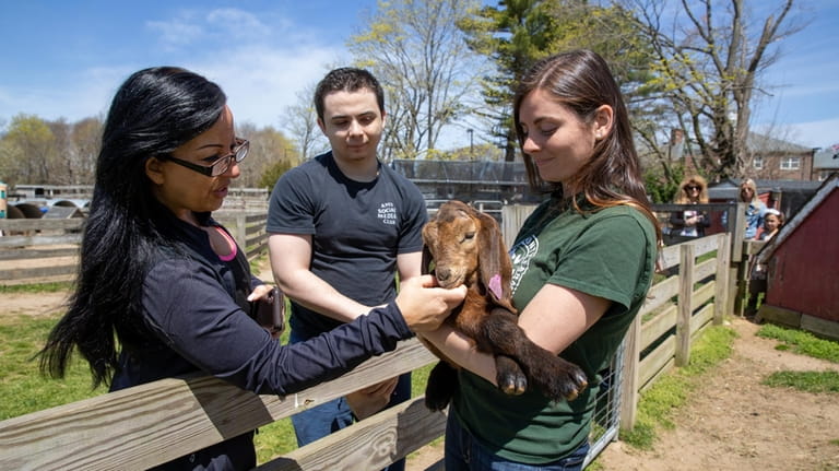 Lead farm educator Rachel Harrison-Smith holds a baby goat while...