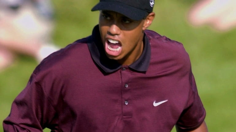 Tiger Woods celebrates making birdie on the last of regulation...