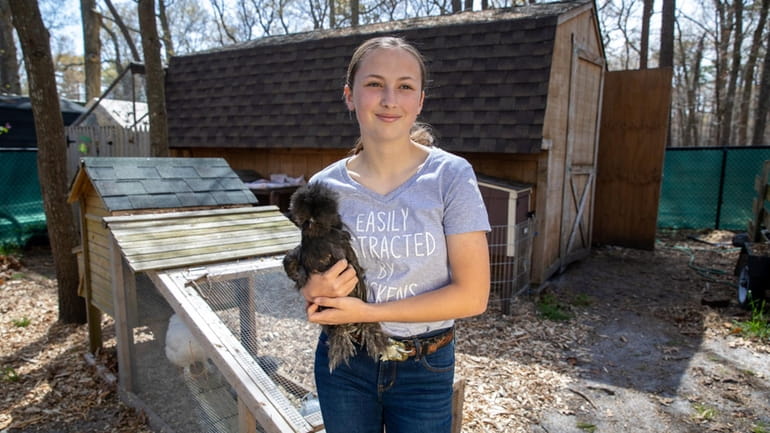 Kaitlyn Eckles, 14, with one of her six chickens in...
