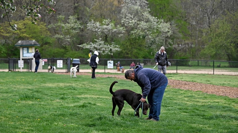 Dogs and their owners enjoy West Hills County Park in...