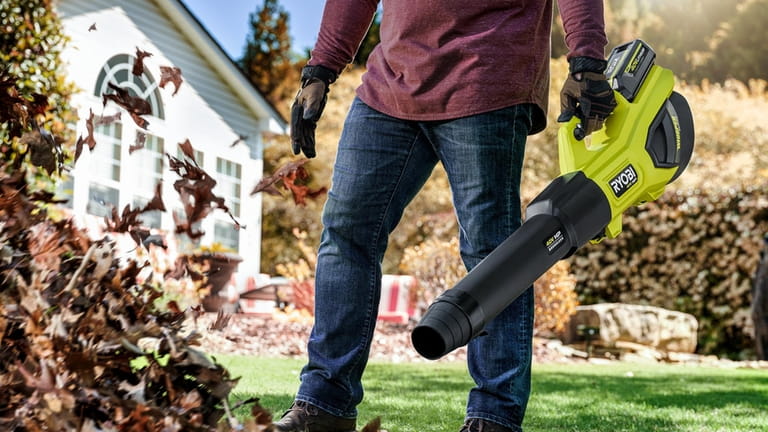 The leaf blower is a gift not just for mom,...