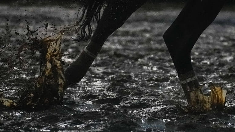 A horse throws up mud on the track at Churchill...