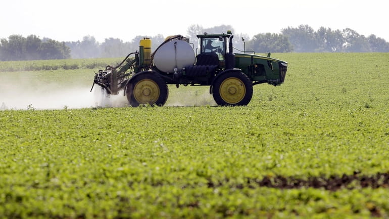 A soybean field is sprayed in Iowa, July 11, 2013....