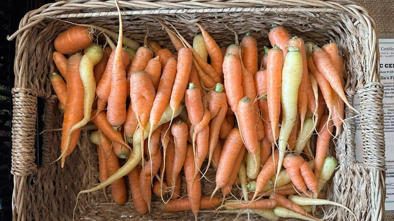 Priscilla's Farm in Southold sells carrots at the Port Jefferson...