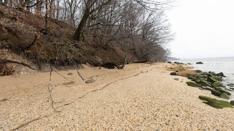Eroded bluffs at Garvies Point Preserve in Glen Cove on...