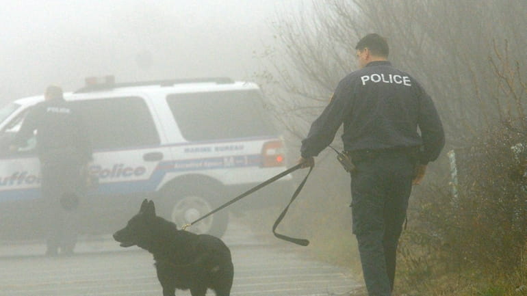 A Suffolk County Police K-9 unit searches brush at Gilgo...