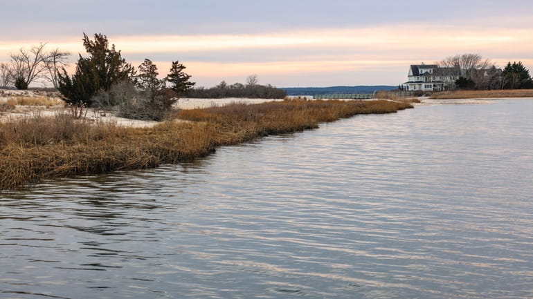 Riverhead Town officials soon plan to lift shellfishing restrictions at...