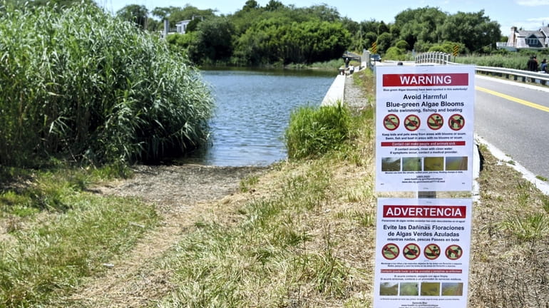 In 2022, signs along Sagg Pond in Sagaponack warned of...