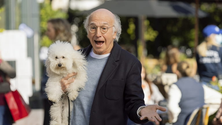 Larry David has coined many notable expressions during the 12...