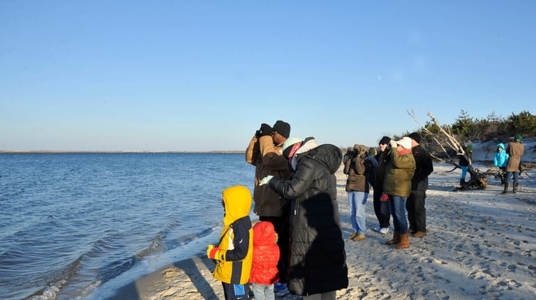 Seal watchers stand on the shore of Sloop Channel hoping...