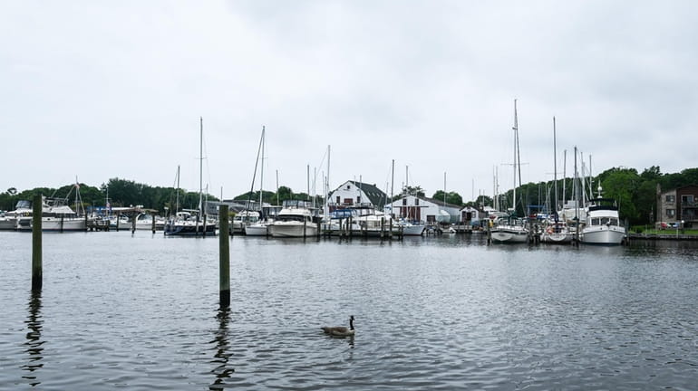The Patchogue River in Patchogue in June of 2020.