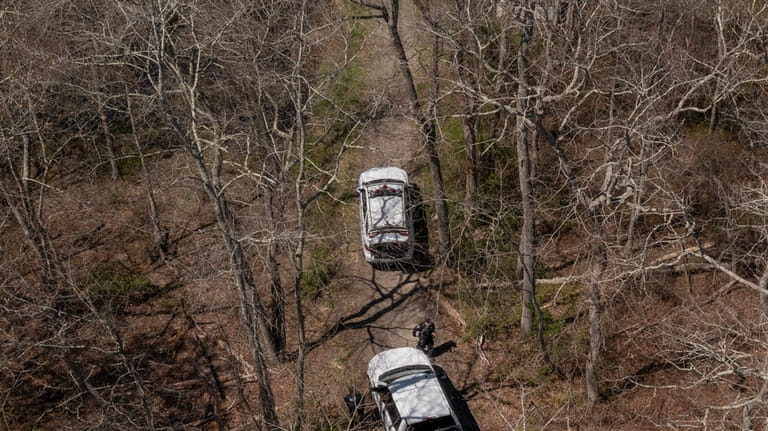 Police vehicles from an NYPD K-9 unit stage in a wooded...