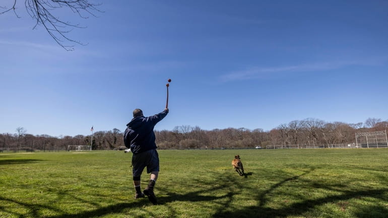 A dog and its owner play in Mansfield Park, which sits...