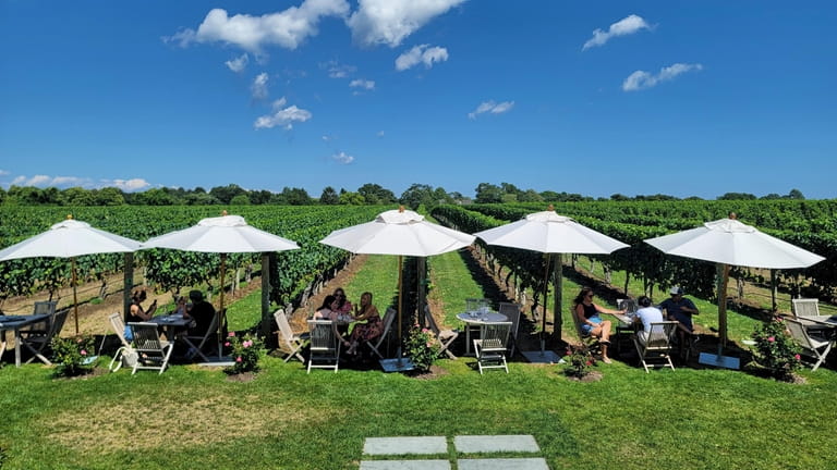 Tables and guests soak up the sun along the rows...