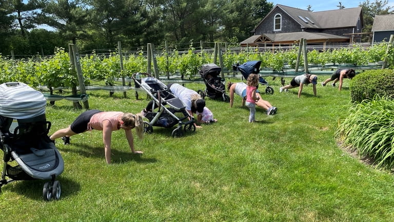 Stroller Strong Mamas will hold an exercise class at Terra...