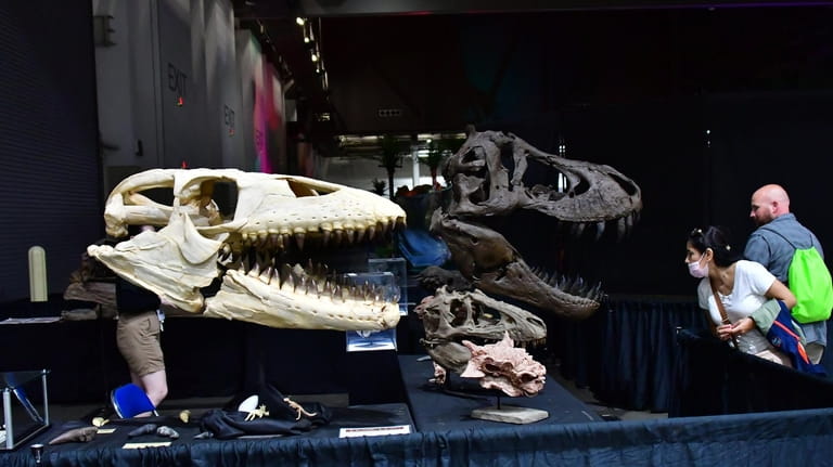 See dinosaur fossils at Jurassic Quest at Nassau Coliseum in...