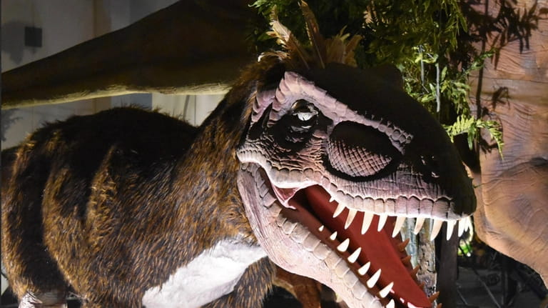 The Dakotaraptor will be part of the dinosaur display at...