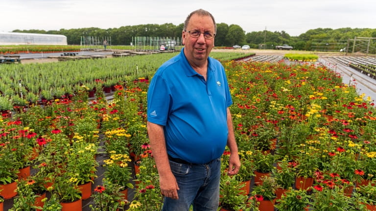 General manager Bill Zalakar said Kurt Weiss Greenhouses Inc. in East...