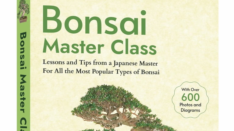 Bonsai Masterclass: Lessons and Tips from a Japanese Master For...