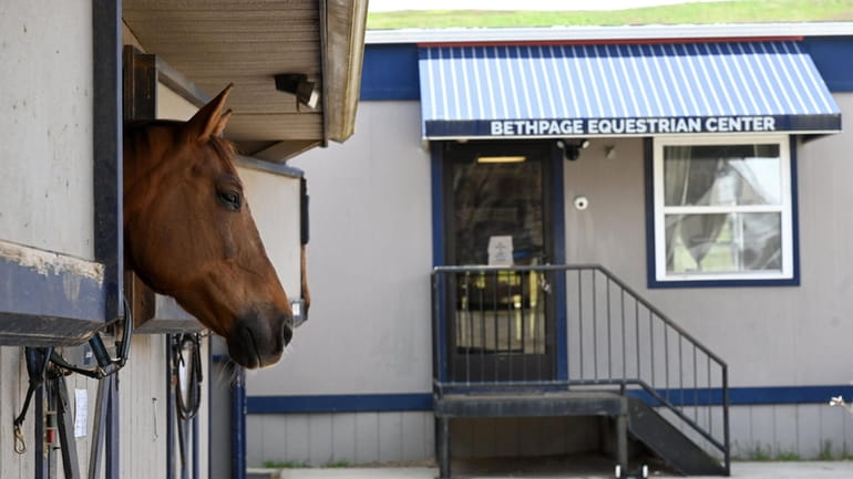Horses hang at Bethpage Equestrian Center, which offers riding lessons,...