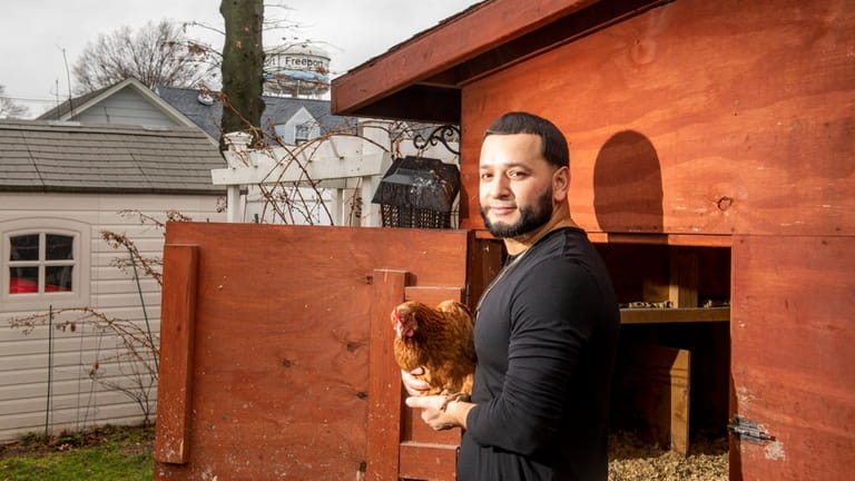 WIlliam Gomez raises chickens at his Freeport home.
