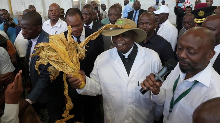 Zimbabwean President Constantino Chiwenga, centre, holds a tobacco leaf while...