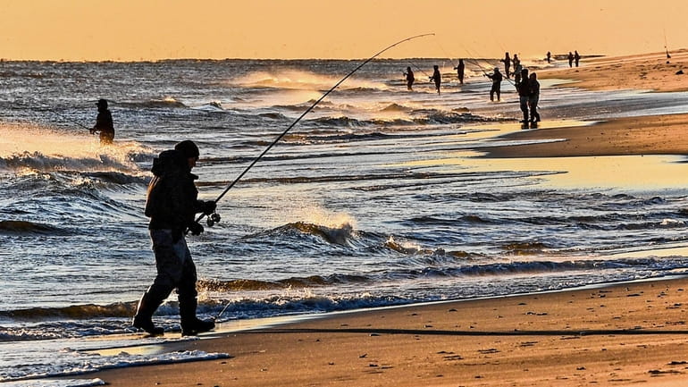 Surfcasters apply their skills as they fish in the waters...