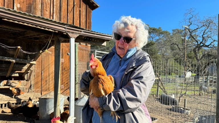 Ettamarie Peterson holds a chicken at her farm in Petaluma,...