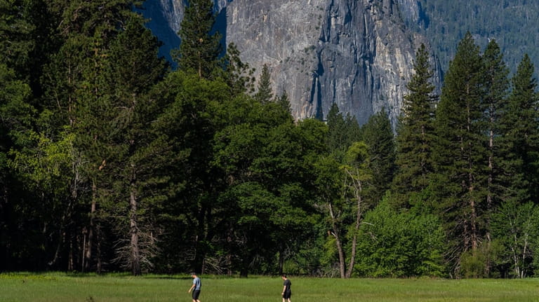 Park visitors walk along a raised boardwalk in Yosemite National...