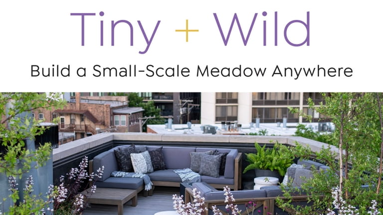 Tiny + Wild: Build a Small-Scale Meadow Anywhere, by Graham...
