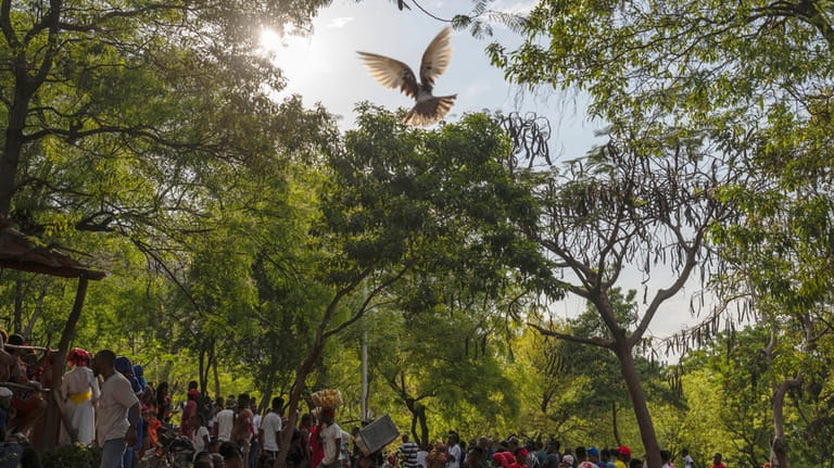 A dove takes flight as people attend the St. George...