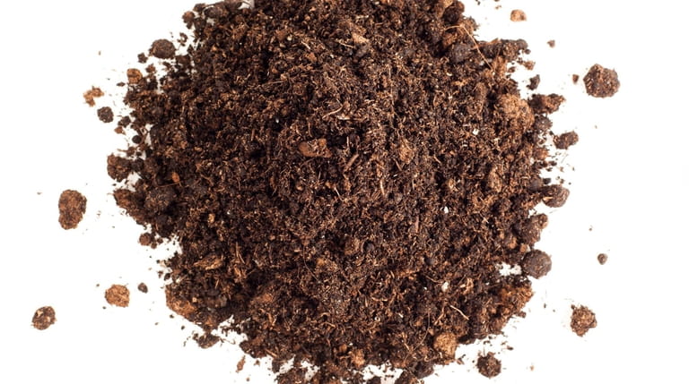 Peat moss and mulch do not perform the same functions.