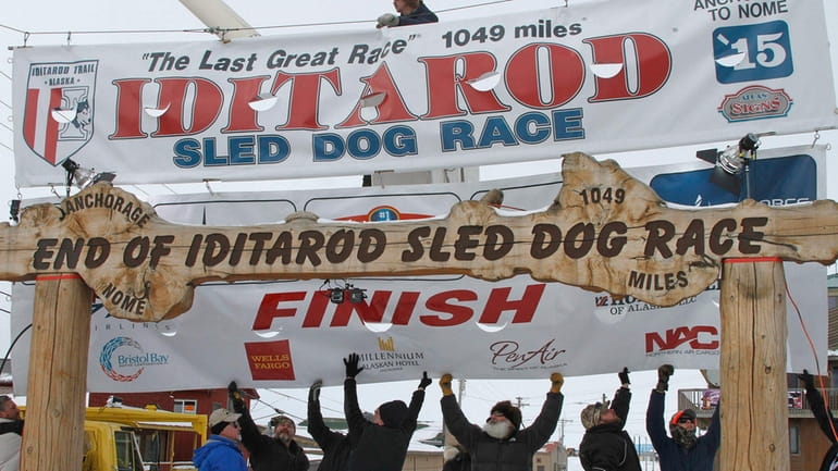 In this March 16, 2015, volunteers help raise the Iditarod...