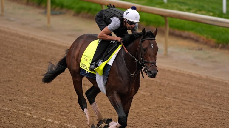 Kentucky Derby hopeful Sierra Leone works out at Churchill Downs...