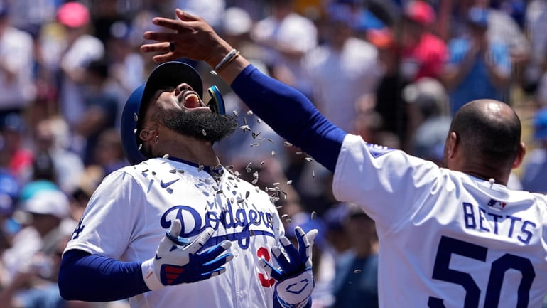 Los Angeles Dodgers' Teoscar Hernández, left, is hit with sunflower...