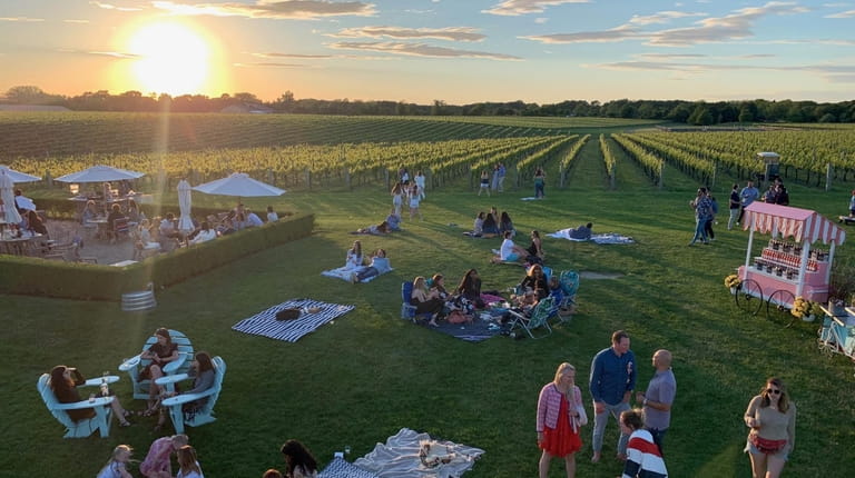 A typical summer sunset scene at the Wölffer Estate Wine...