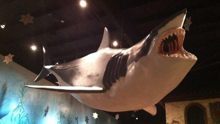The Great White Shark display at the Long Island Aquarium...