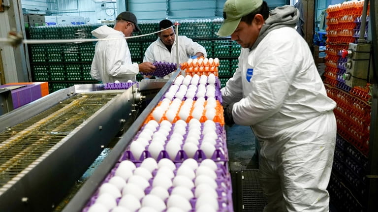 A worker moves crates of eggs at the Sunrise Farms...