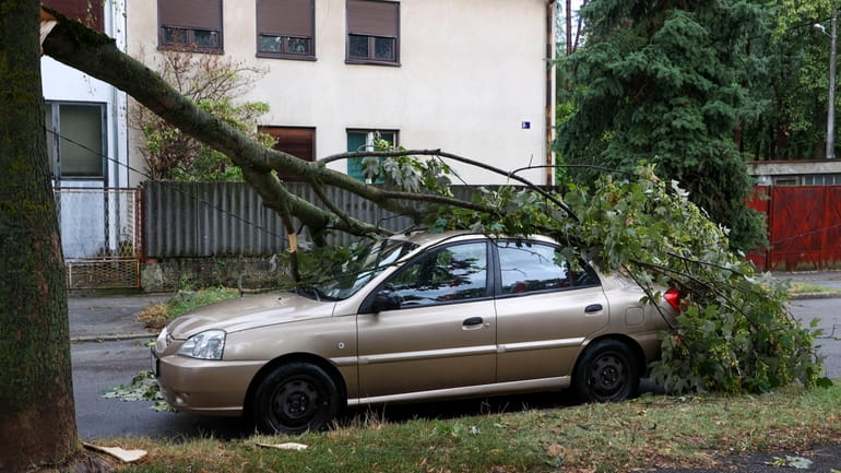 A fallen tree on a damaged parked car after a...
