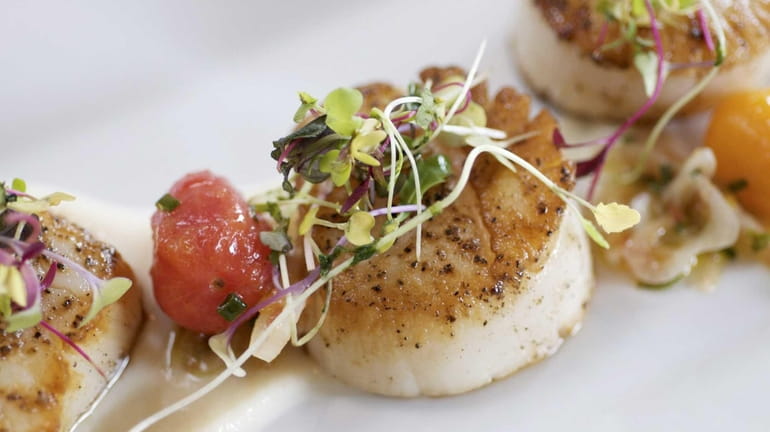 Nocturne's pan-seared scallops, served with a cauliflower puree and heirloom...
