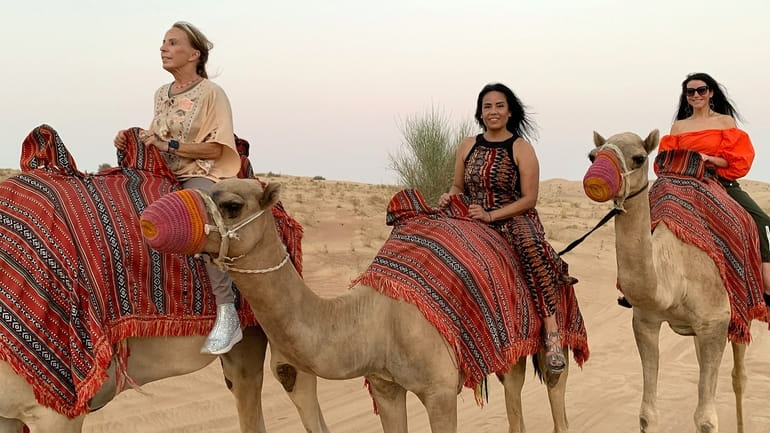 Women ride camels in Dubai during a trip organized by...