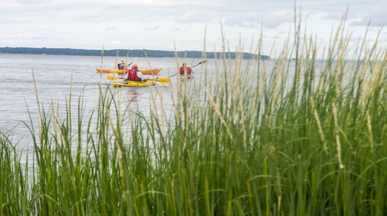 Members of a senior group of kayakers out of Centerport...