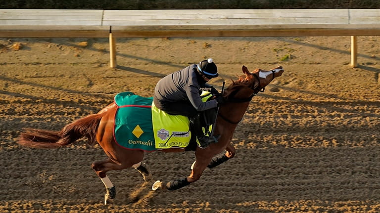 Kentucky Derby entrant Derma Sotogake, from Japan, works out at...