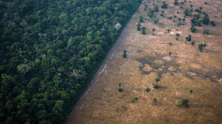 An aerial view of the Amazon rainforest in Brazil’s Rondonia...