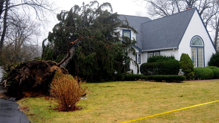 A large tree fell on a home on Lanier Lane...