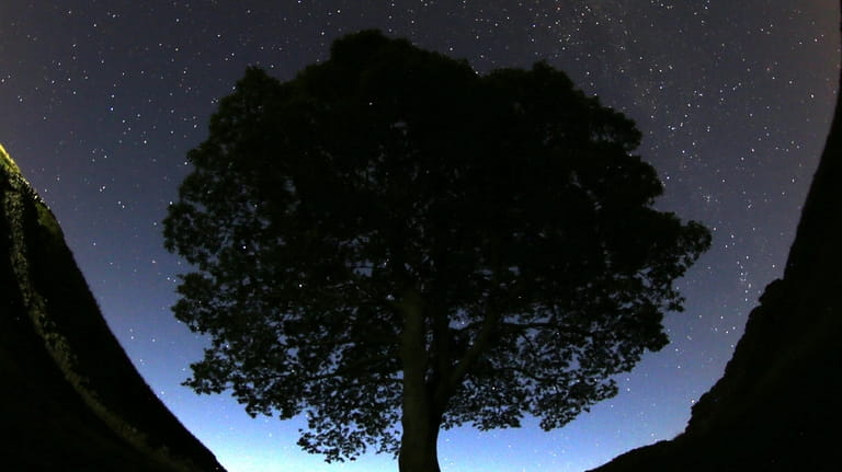 A general view of the stars above Sycamore Gap prior...
