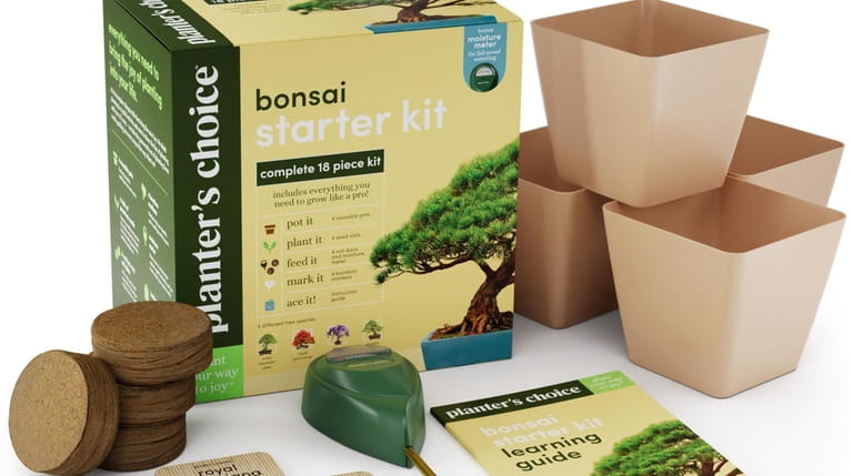 Deluxe bonsai starter kit at 
theplanterschoice.com.