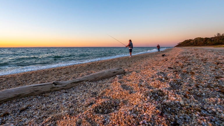 Anglers surf fishing before sunset at McCabe's Beach in Southold...