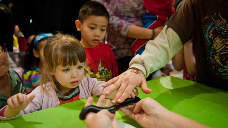 Mackenzie Reis, 2, of Lynbrook, marvels at a millipede at...