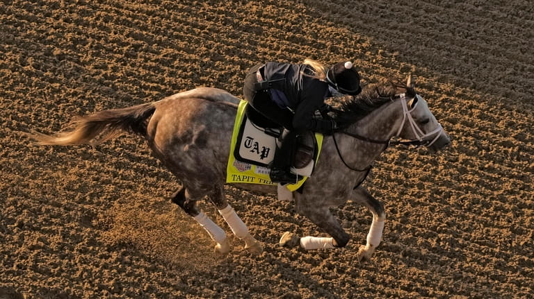 Kentucky Derby entrant Tapit Trice works out at Churchill Downs...